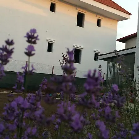 Sunny Border (adults Only) Hotel Vama Veche