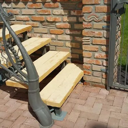 Sunny Border (adults Only)