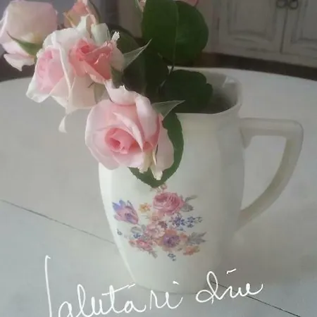 Hotel Sunny Border (adults Only) *