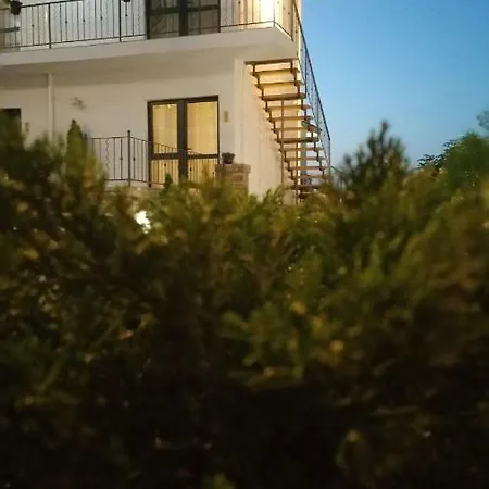 Sunny Border (adults Only)